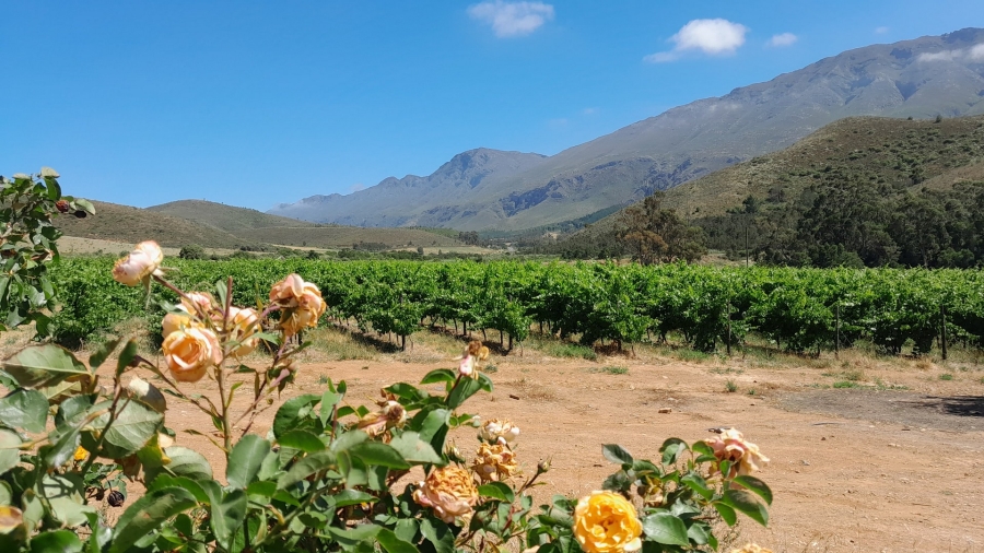 9 Bedroom Property for Sale in Montagu Rural Western Cape